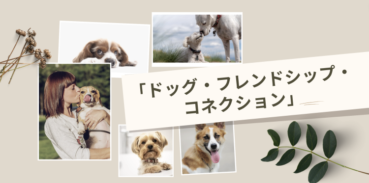 「ドッグ・フレンドシップ・コネクション」